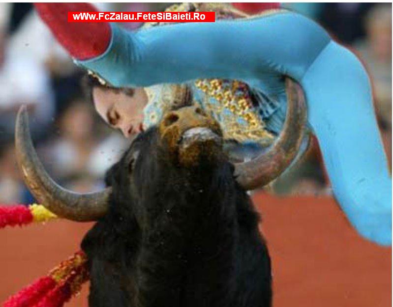 Taurul A Tras La Tinta